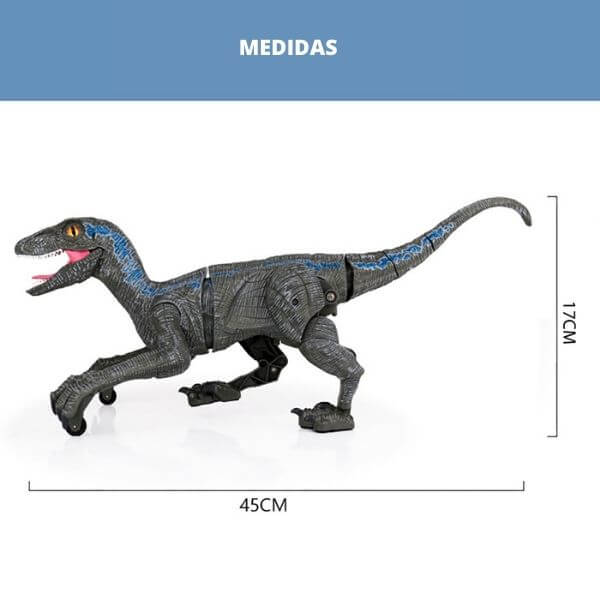 Dinossauro Raptor - Medidas