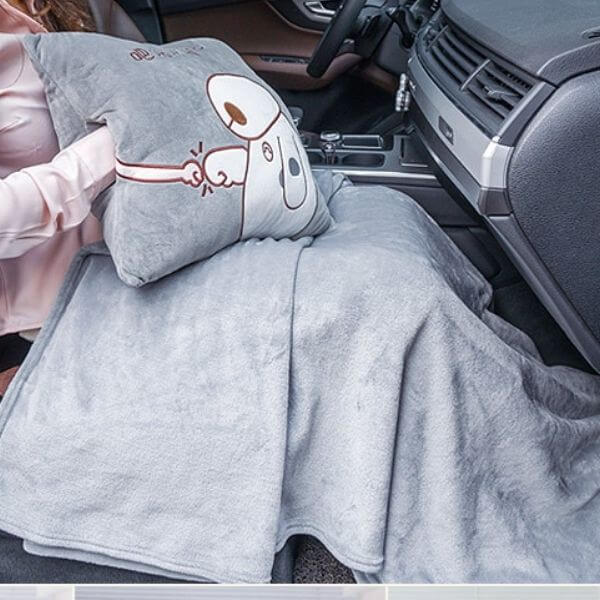Almofada com Cobertor de Bichinhos e espaço para aquecer as mãos - Carro
